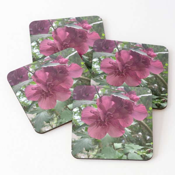 Item preview, Rose of Sharon designed and sold by grygiel5.