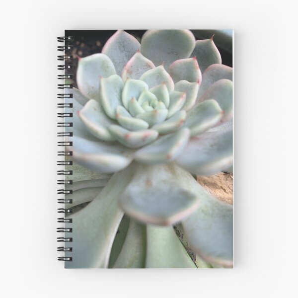 Item preview, Succulent Flower designed and sold by grygiel5.