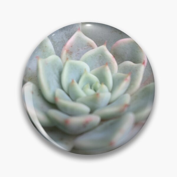 Item preview, Succulent Flower designed and sold by grygiel5.