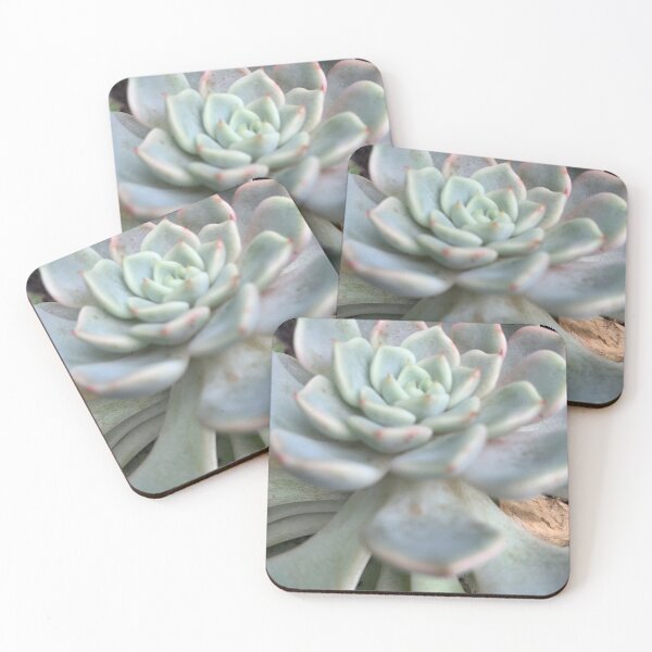 Item preview, Succulent Flower designed and sold by grygiel5.