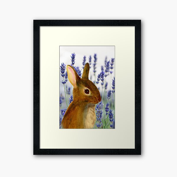 Rabbit Animal Watercolor Painting Wildlife Artwork Framed Art Print