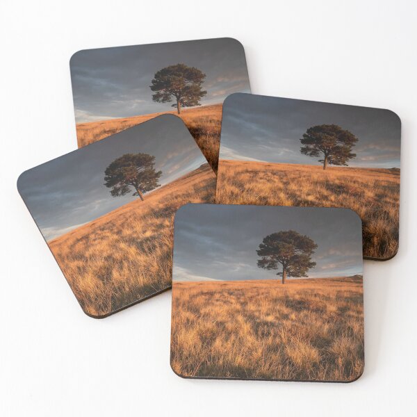Item preview, lone tree lit by rising sun designed and sold by codaimages.