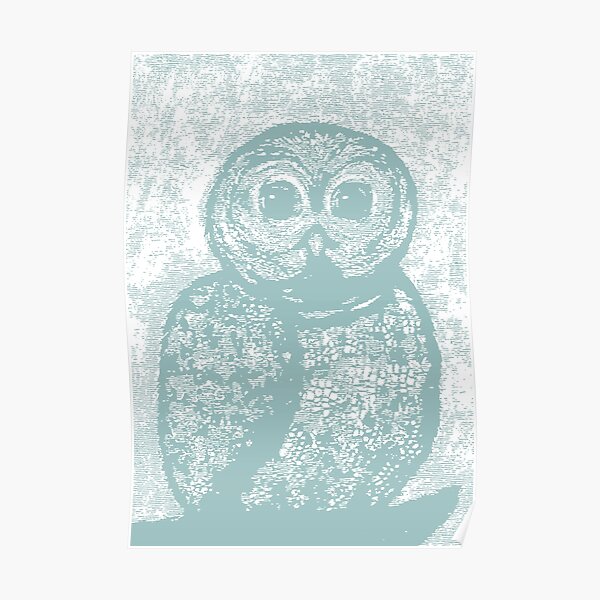Resting Owl in Teal Poster