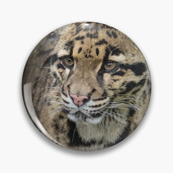 Item preview, Clouded leopard designed and sold by Conservation Art Emporium.