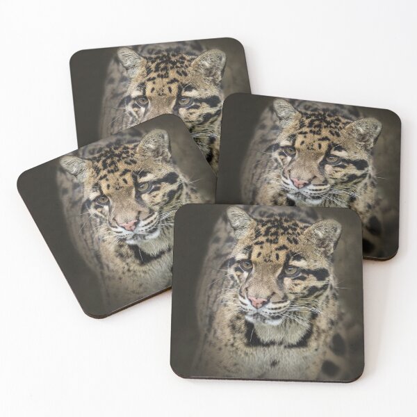Item preview, Clouded leopard designed and sold by Conservation Art Emporium.