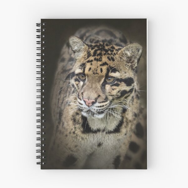 Item preview, Clouded leopard designed and sold by Conservation Art Emporium.
