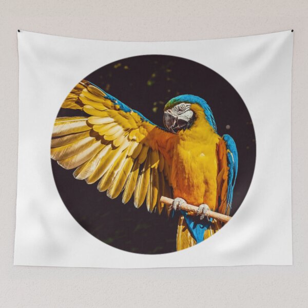 Item preview, Parrot  designed and sold by Riah1618.