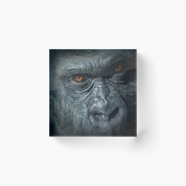 Item preview, Gorilla  designed and sold by Conservation Art Emporium.