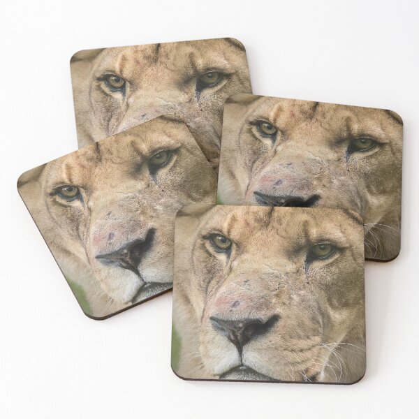 Item preview, Lion designed and sold by Conservation Art Emporium.