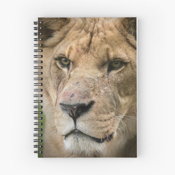 Item preview, Lion designed and sold by Conservation Art Emporium.