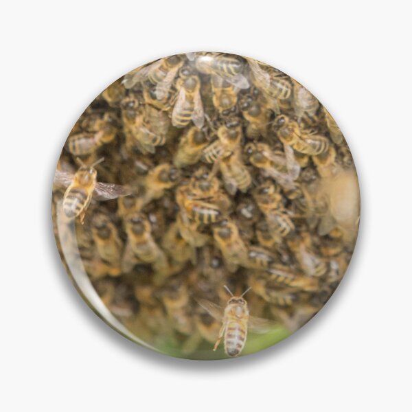 Item preview, Bees designed and sold by Conservation Art Emporium.