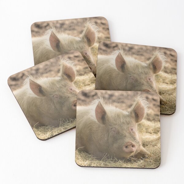 Item preview, Pig designed and sold by Conservation Art Emporium.