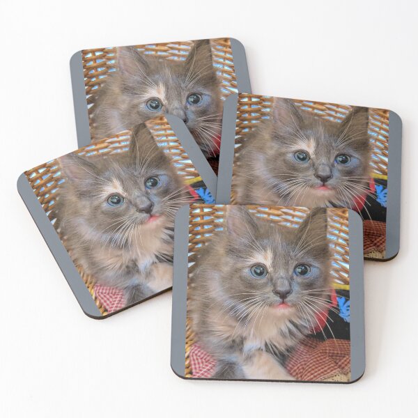Item preview, Ragdoll mainecoon kitten designed and sold by Fluffycat2020.