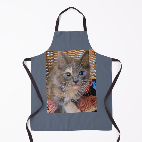 Item preview, Ragdoll mainecoon kitten designed and sold by Fluffycat2020.
