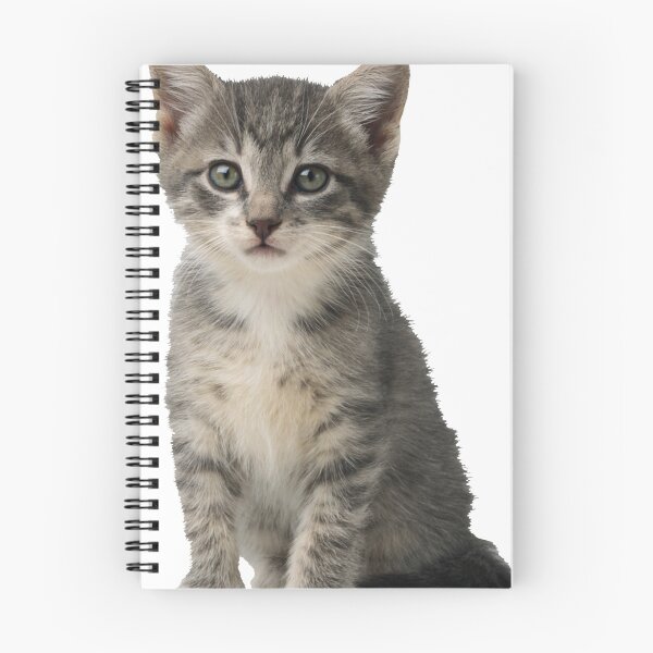 Item preview, Kitten designed and sold by Nicole 108.