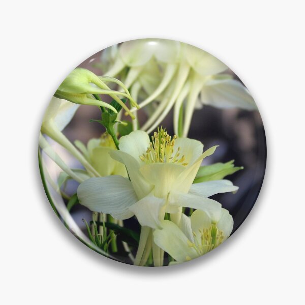 Item preview, A Column Of Creamy Columbines designed and sold by Michael May.