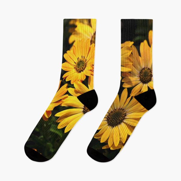Item preview, African Daisy - Yellow Flower Blossom designed and sold by LashCreations.