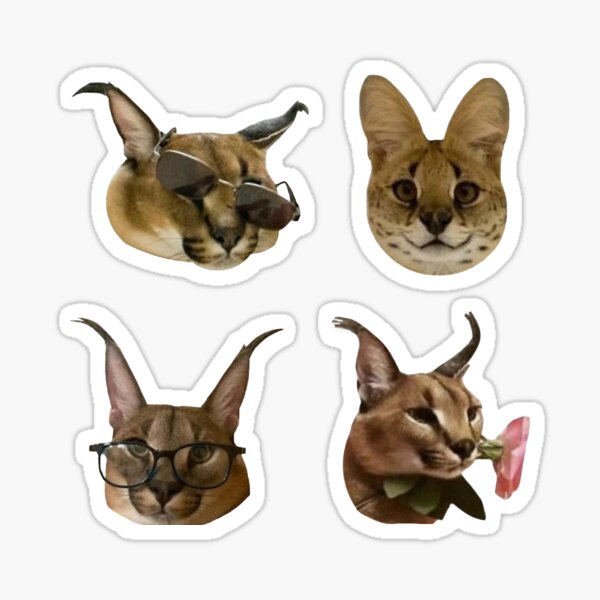 Big Floppa - Caracal meme cat / fat floppa / cursed floppa Postcard for  Sale by romanticists