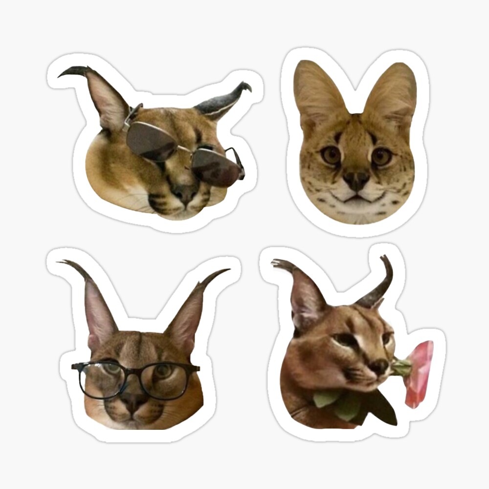 Zabloing Floppa Meme Stickers for Sale