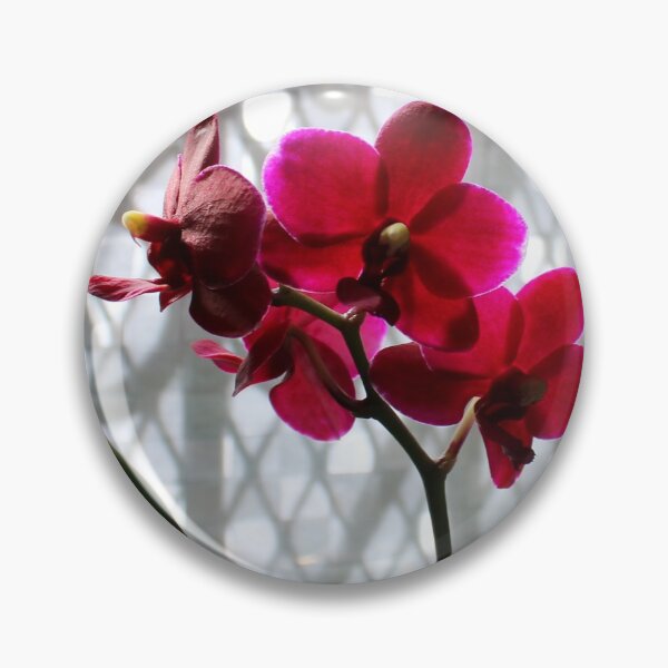 Item preview, What Light Through Yonder Orchid... designed and sold by Michael May.
