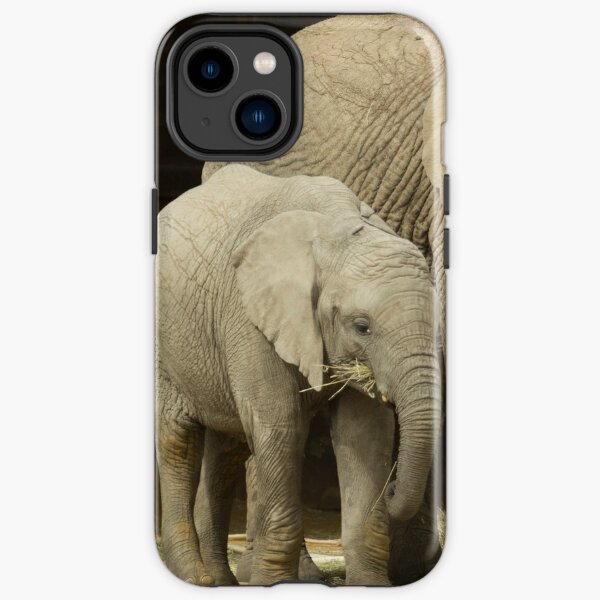 Elephants iPhone Tough Case