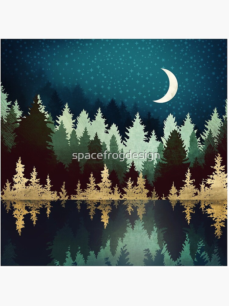 Star Forest Reflection by spacefrogdesign