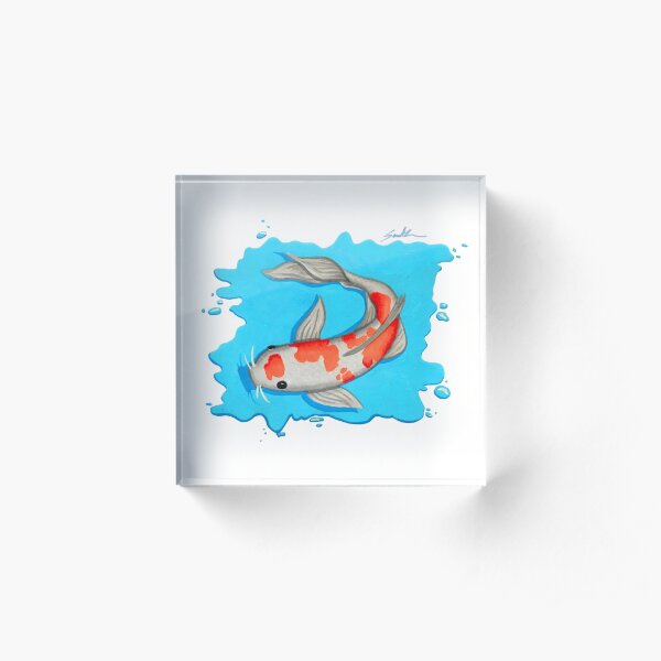 Coy Fish Swimming Acrylic Block