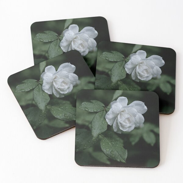 Item preview, White Rose with Dew designed and sold by mhailittlearts.