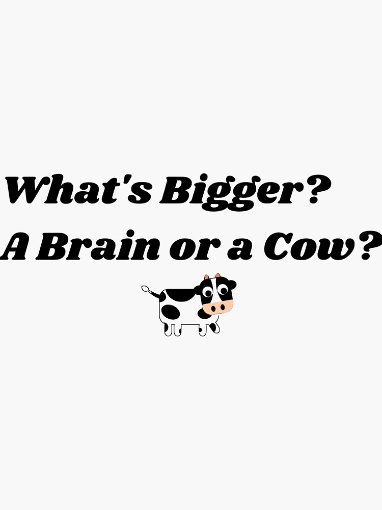 "What's Bigger? A brain or a Cow?" Sticker for Sale by TeeStall Redbubble