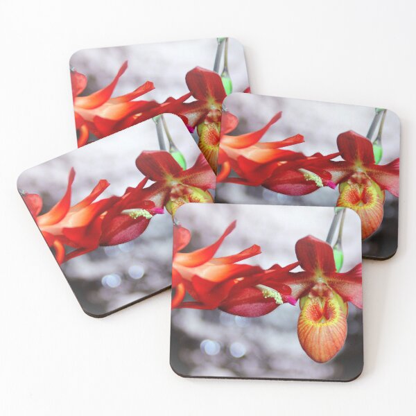 Item preview, If It Doesn't Snow On Christmas Cactus designed and sold by Michael May.