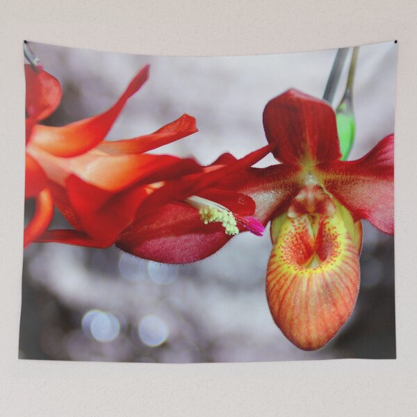 Item preview, If It Doesn't Snow On Christmas Cactus designed and sold by Michael May.
