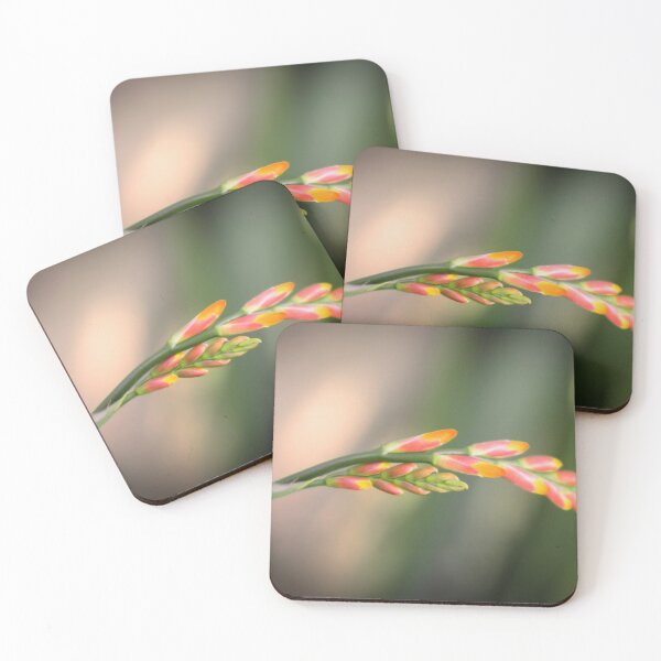 Item preview, Crocosmia  designed and sold by JEZ22.
