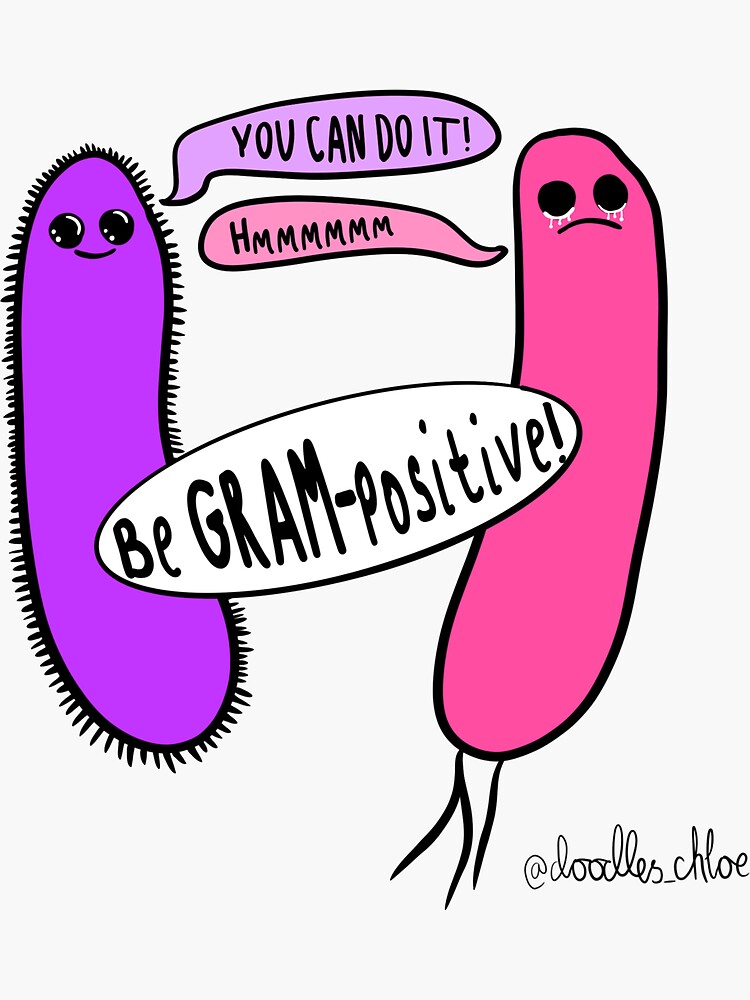 Be Gram Positive Bacteria Sticker For Sale By Doodles Chloe Redbubble