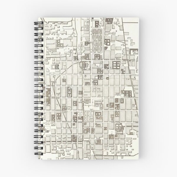 Item preview, Map of Mexico City, 1785 designed and sold by caitlin2006.