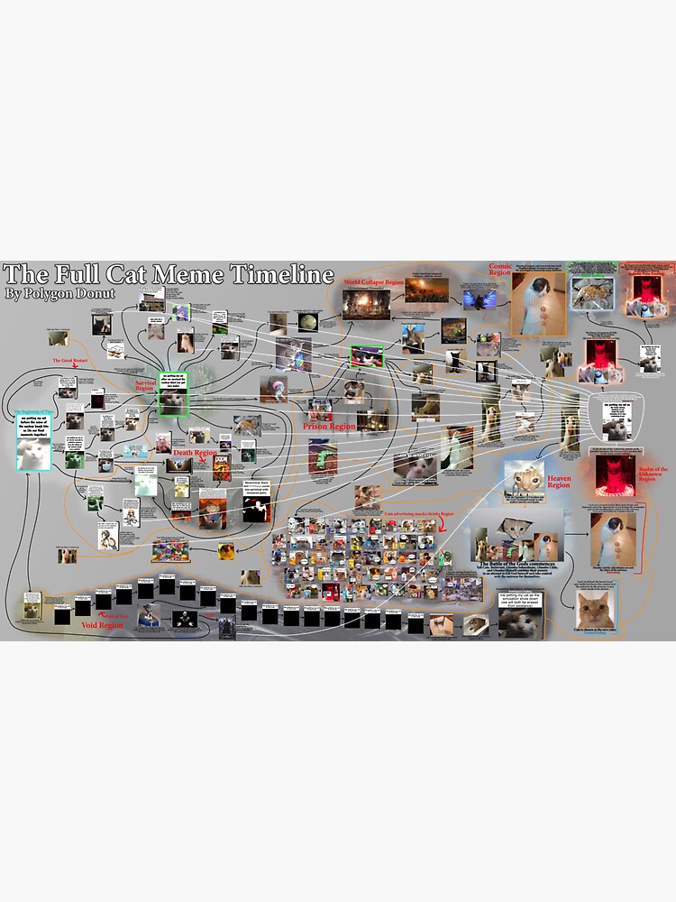 The Full Cat Meme Timeline vrogue.co