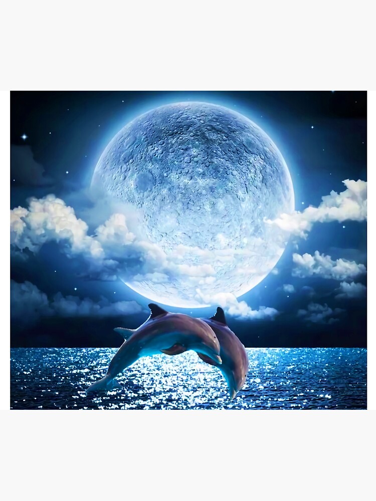 Dolphins Jumping Animal Full Moon