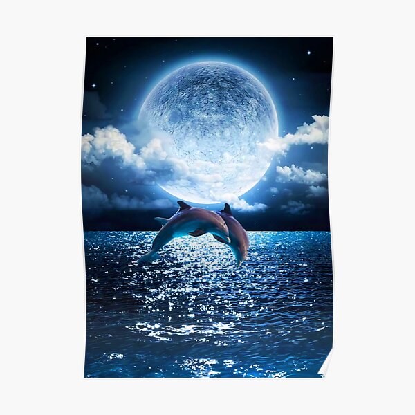 Image Search Results  Dolphins, Sea life artwork, Sale artwork