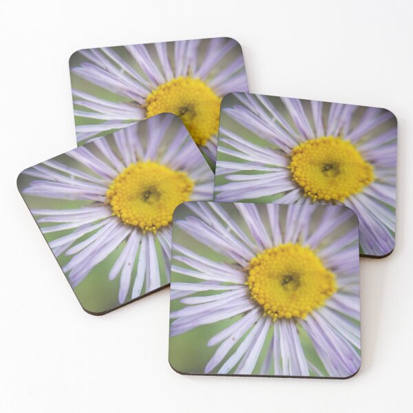 Item preview, Robin's Plantain designed and sold by Bravofett.