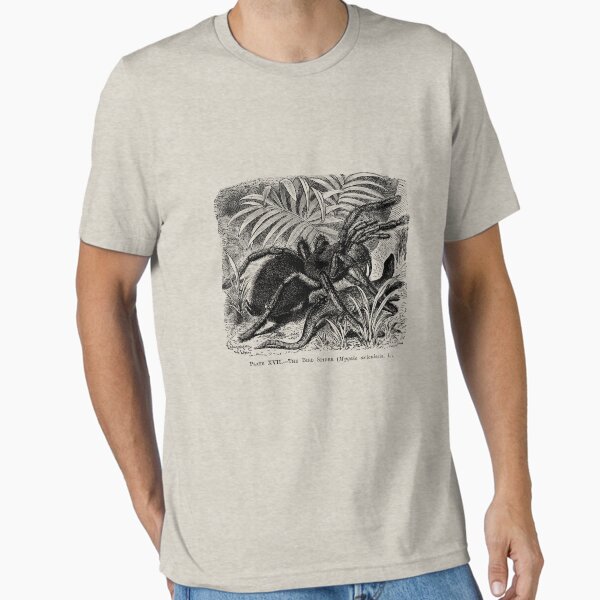 Item preview, Tarantula designed and sold by Kawka.