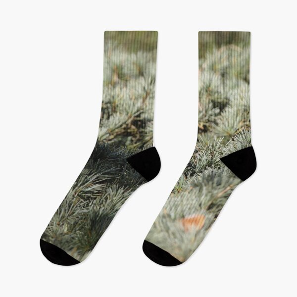 Item preview, In the woods - Fir Tree designed and sold by Douglas E. Welch Design and Photography.