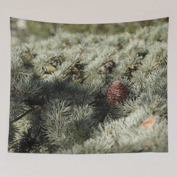 Item preview, In the woods - Fir Tree designed and sold by Douglas E. Welch Design and Photography.