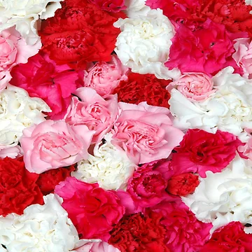 Artwork thumbnail, Carnation Pattern by springflow