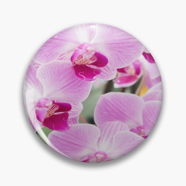 Item preview, Orchid in botonical garden designed and sold by springflow.