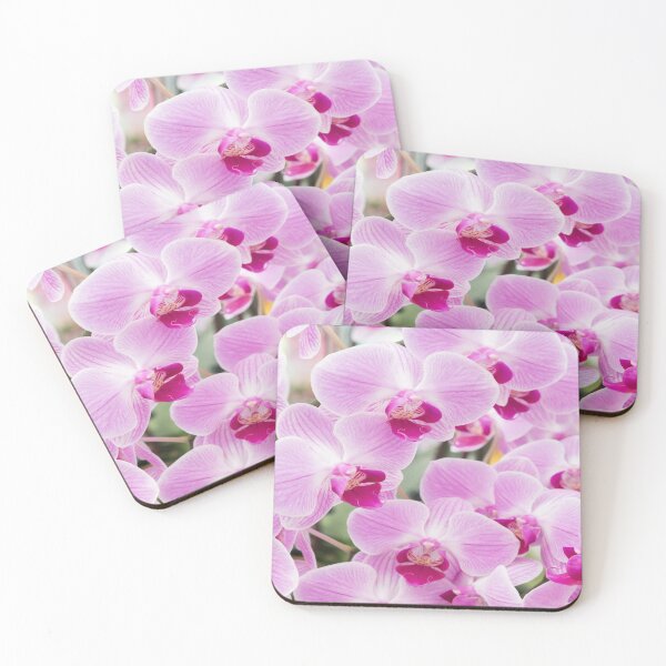 Item preview, Orchid in botonical garden designed and sold by springflow.