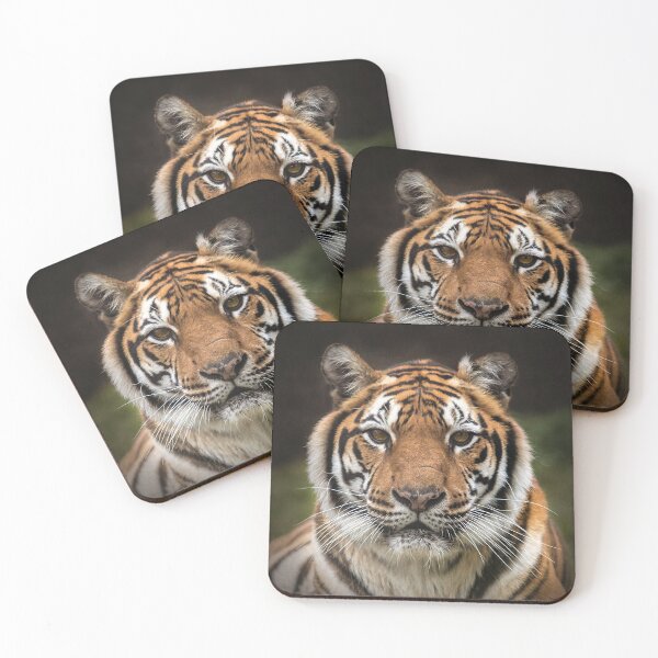 Item preview, Tiger designed and sold by Conservation Art Emporium.