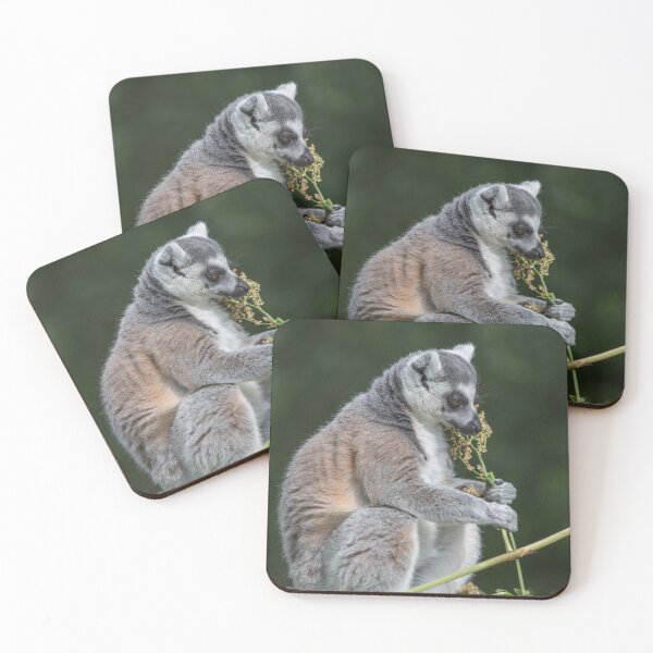 Item preview, Ring-tailed Lemur designed and sold by Conservation Art Emporium.