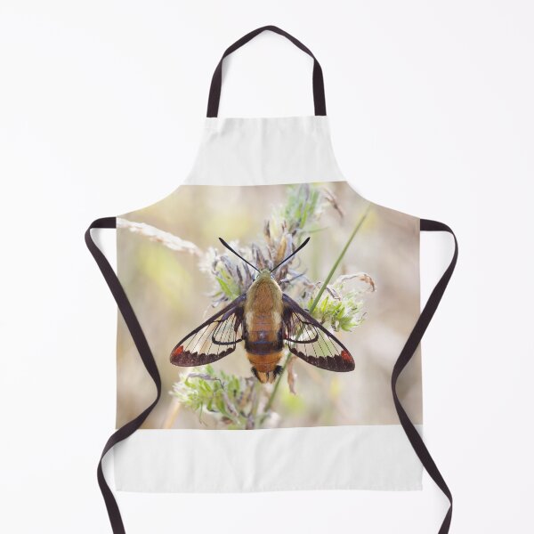 Item preview, Hummingbird Clearwing Moth designed and sold by James Cumming.