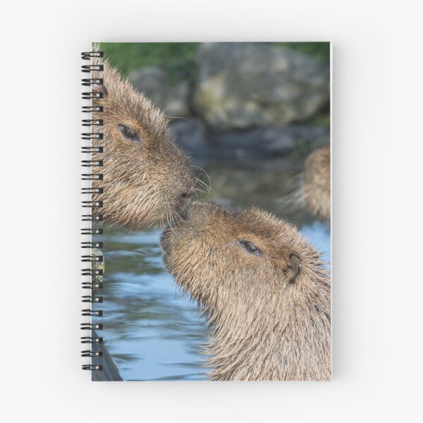 Item preview, Cabybara Kisses designed and sold by Conservation Art Emporium.