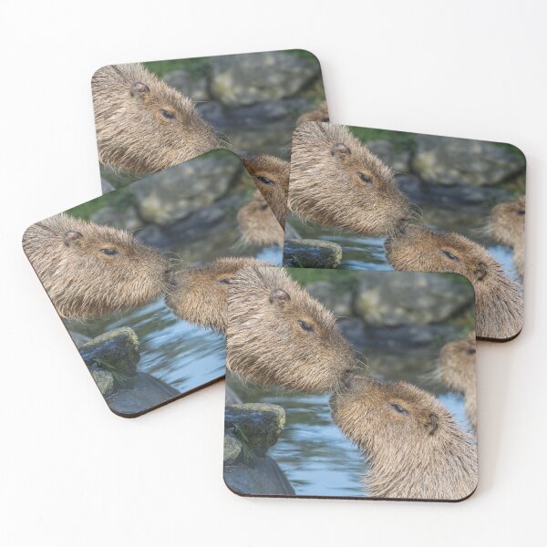 Item preview, Cabybara Kisses designed and sold by Conservation Art Emporium.