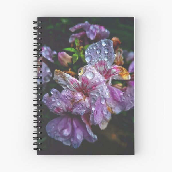 Aperçu de l'œuvre Après la pluie... créée et vendue par MarkBethoney.